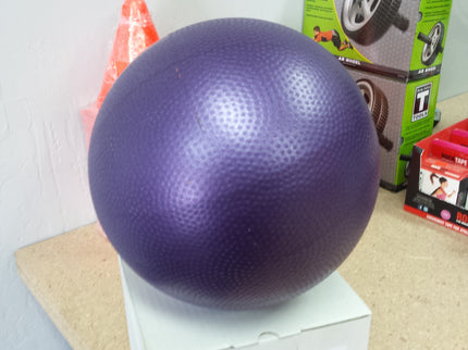 10 Pcs Wholesale 9-Inch Pliable Exercise Mini Ball | Physical Therapy Overball